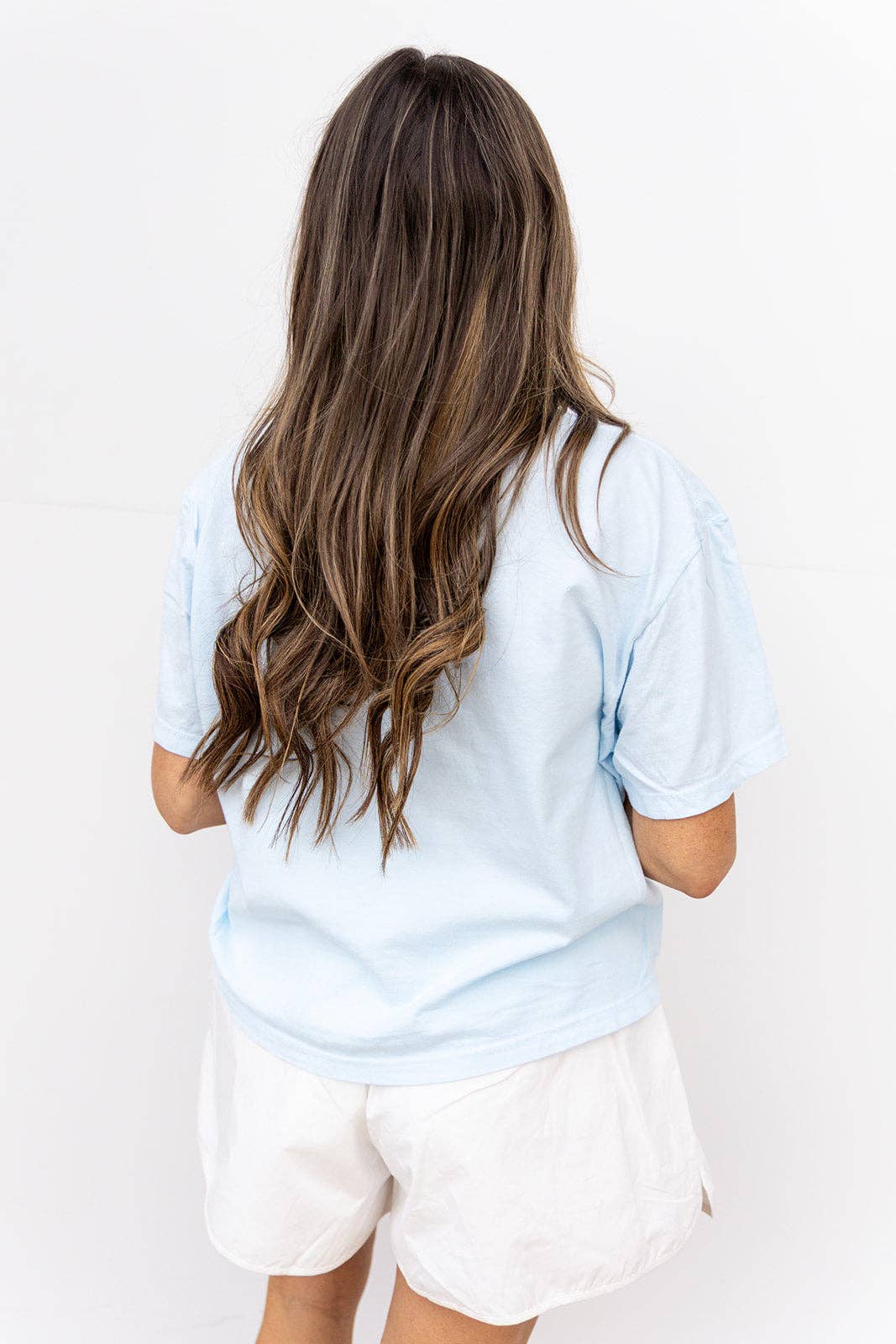 Lator Gator Rainbow Plaid Tshirt - Chambray