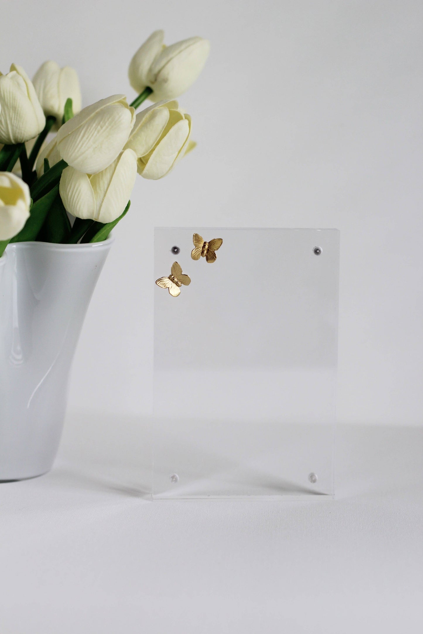 Anna Walding: Butterfly Acrylic Frame