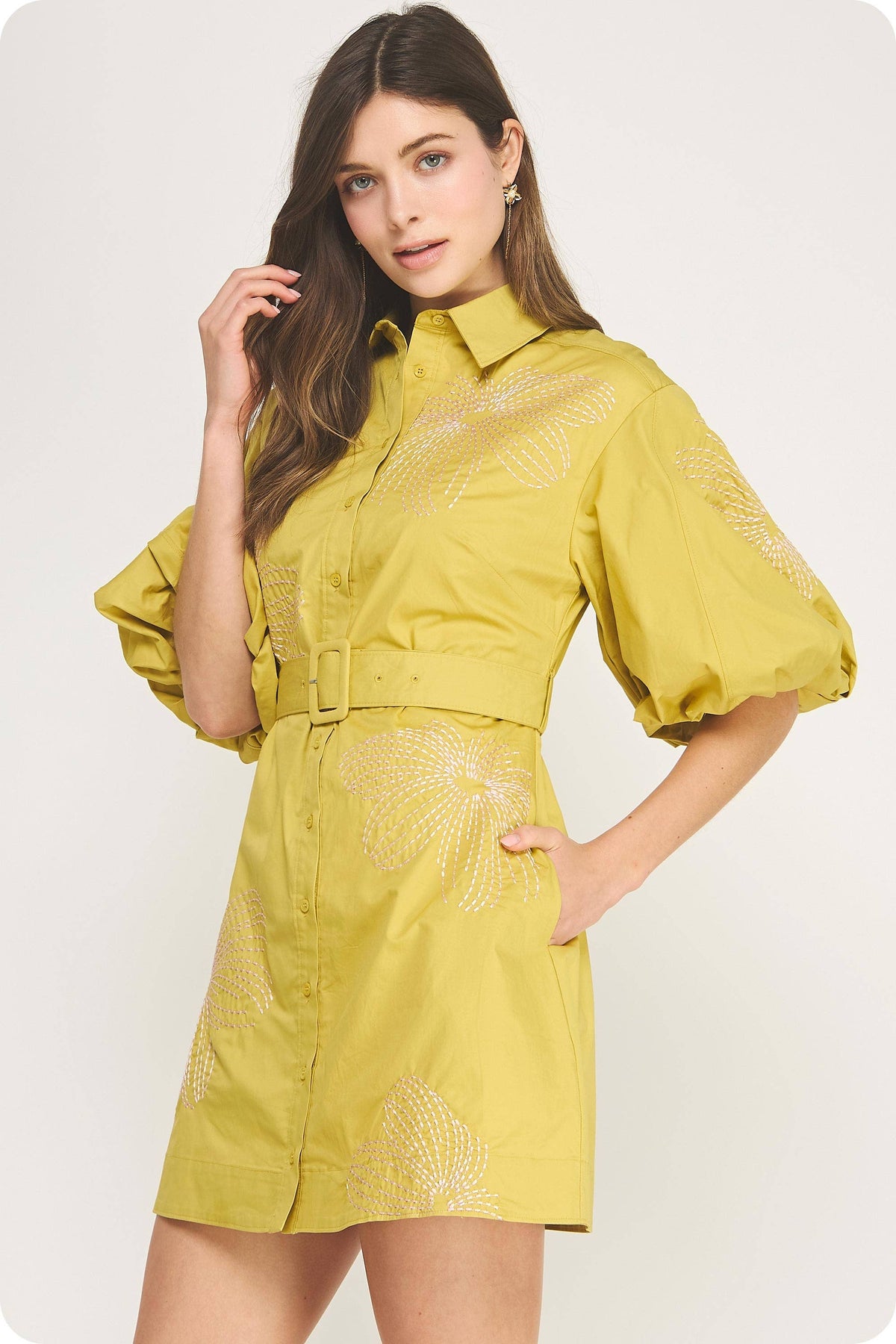 Embroidered Puff Sleeve Belted Mini Shirt Dress