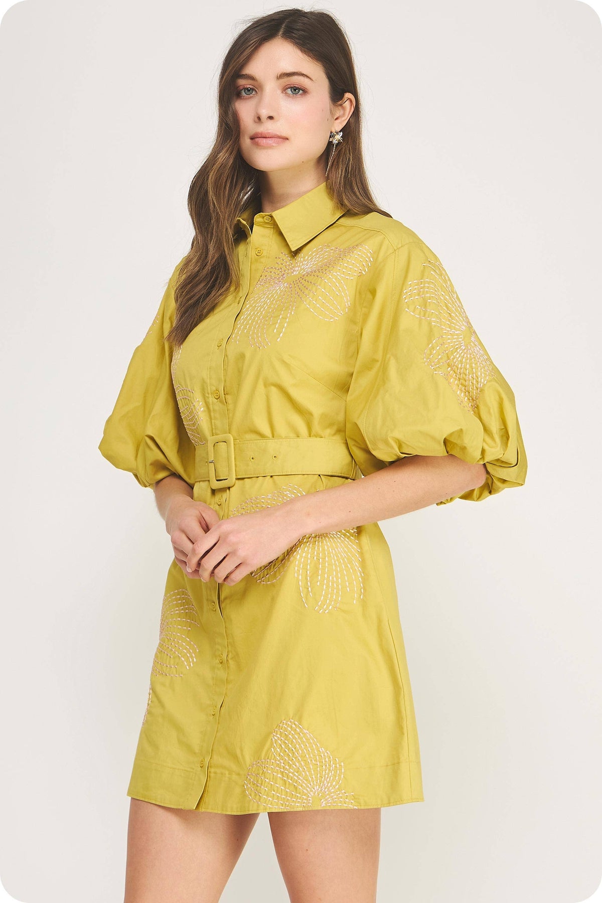 Embroidered Puff Sleeve Belted Mini Shirt Dress