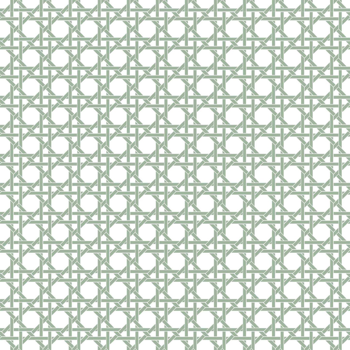 Sage & White Cane Mini Prosecco Wraps (Set of 3)