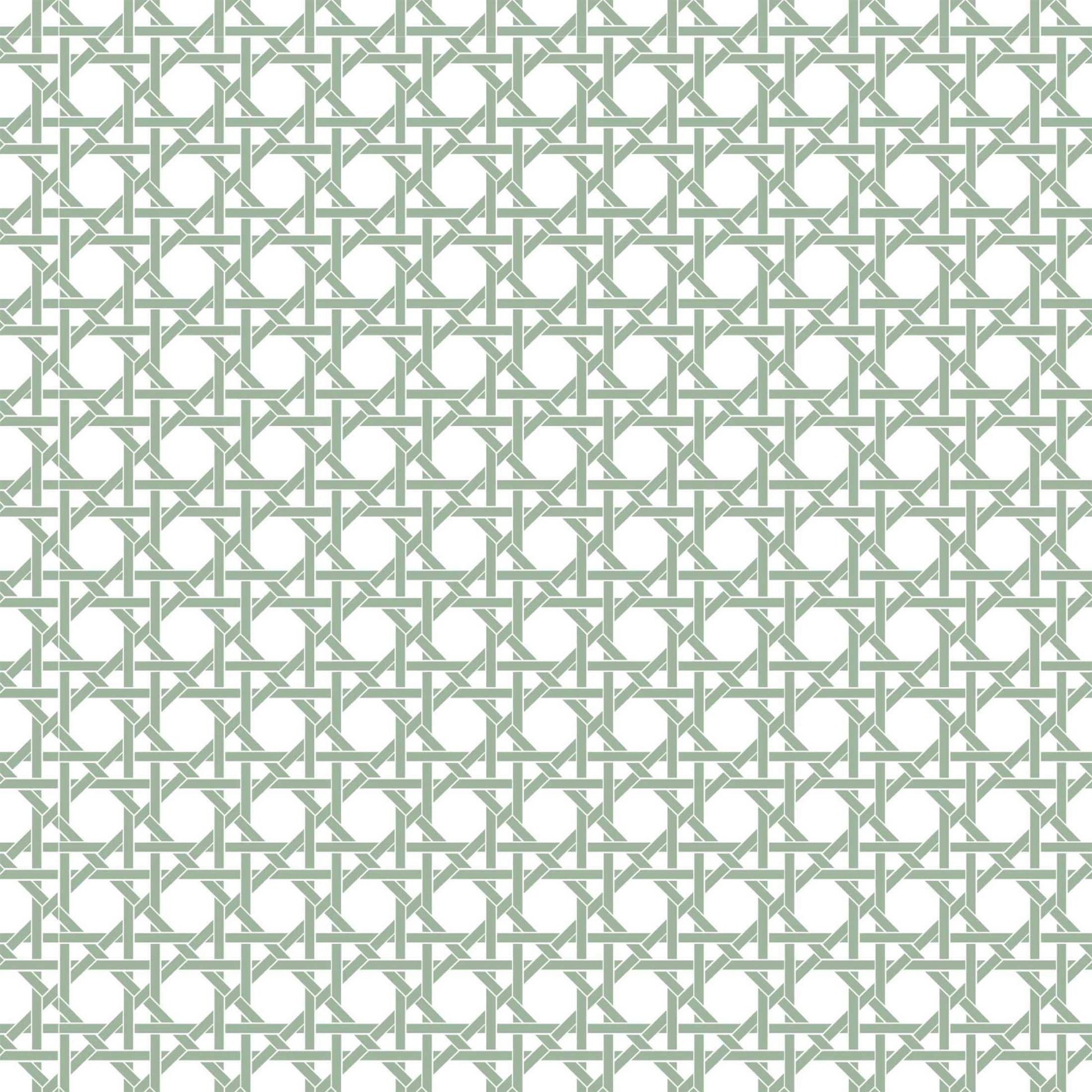 Sage & White Cane Mini Prosecco Wraps (Set of 3)