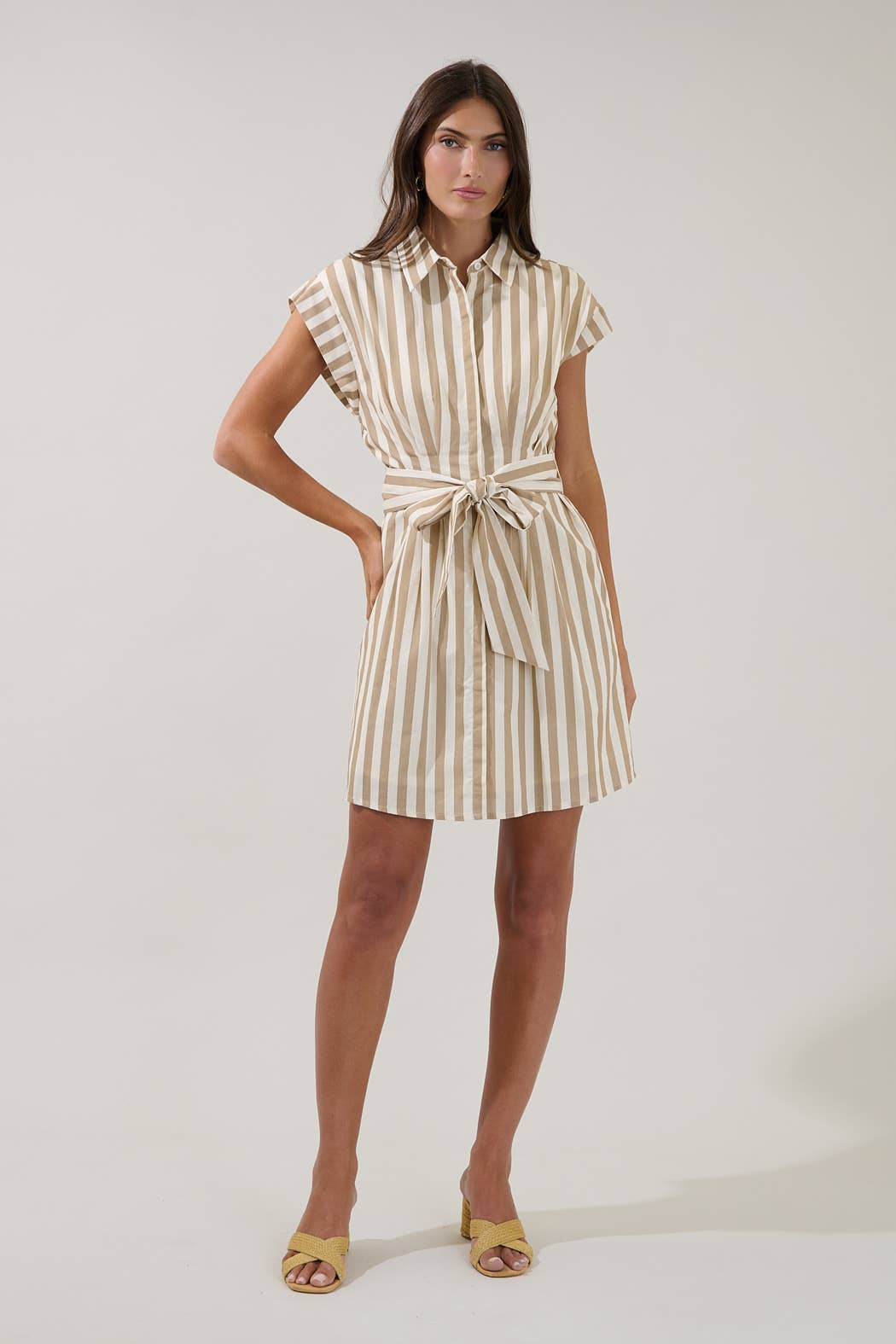 Samera Button Up Mini Dress Lasha Stripe