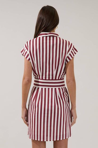 Samera Button Up Mini Dress Lasha Stripe