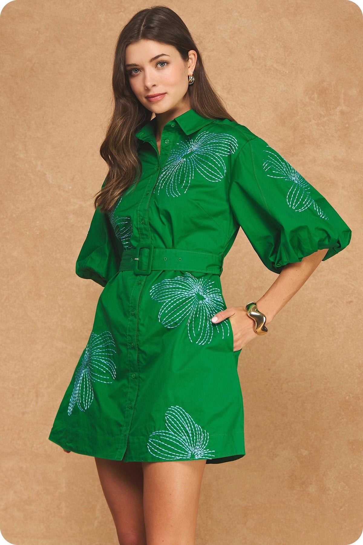 Embroidered Puff Sleeve Belted Mini Shirt Dress