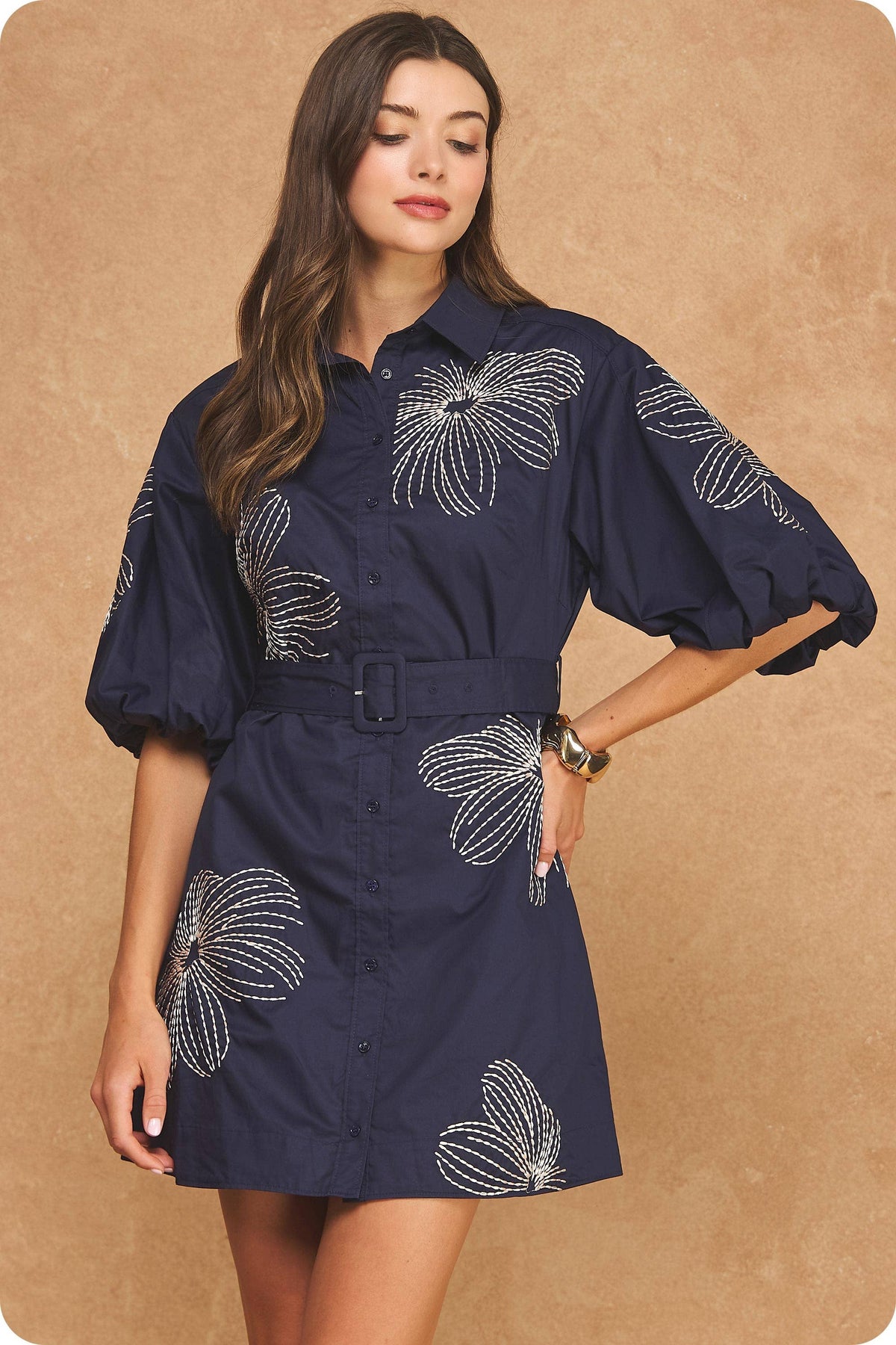 Embroidered Puff Sleeve Belted Mini Shirt Dress