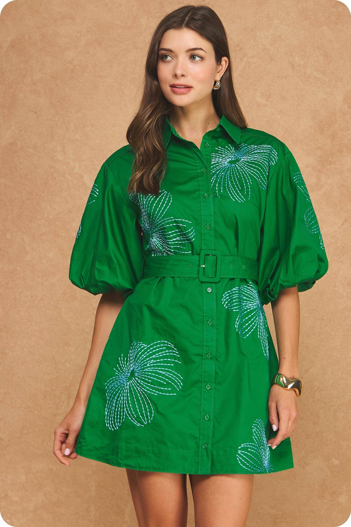 Embroidered Puff Sleeve Belted Mini Shirt Dress
